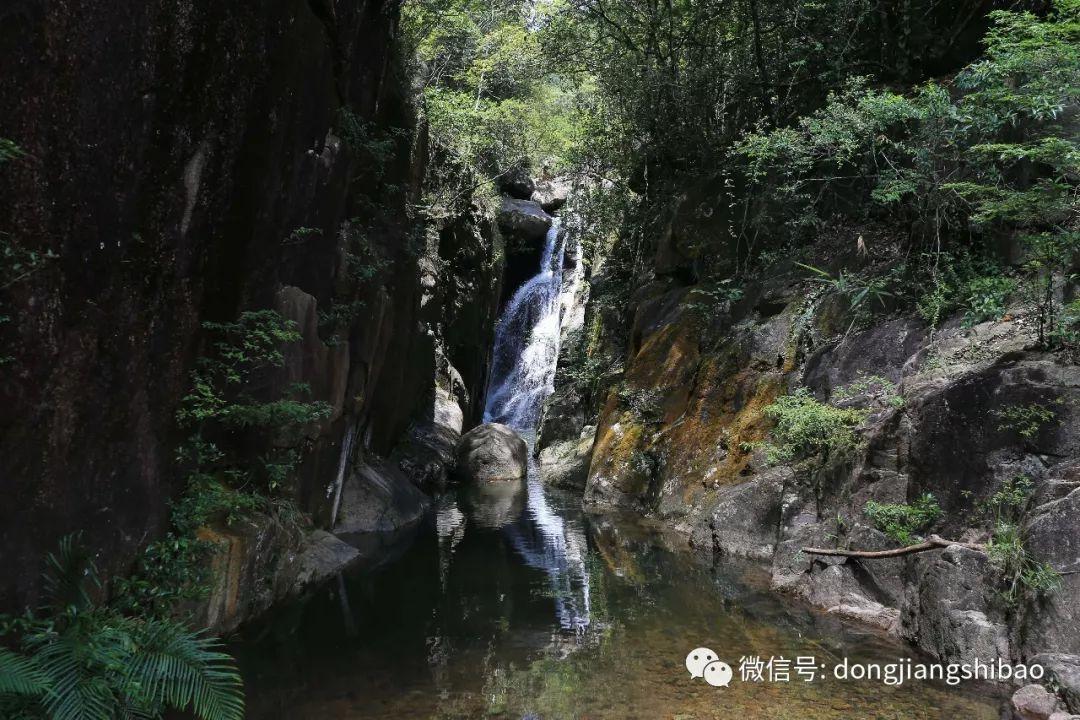 梁启超被“错割腰子”,因协和护士标错手术位置?80年后病历展出